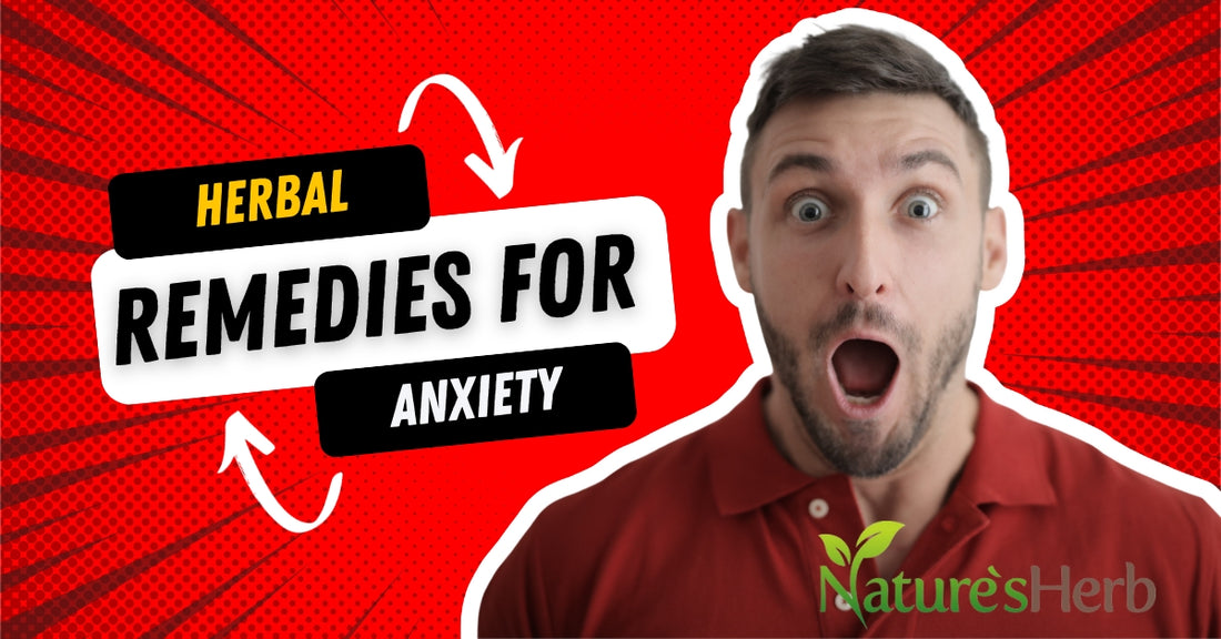 Herbal Remedies for Anxiety: A Comprehensive Guide