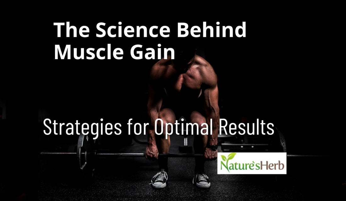 The Science Behind Muscle Gain: Strategies for Optimal Results