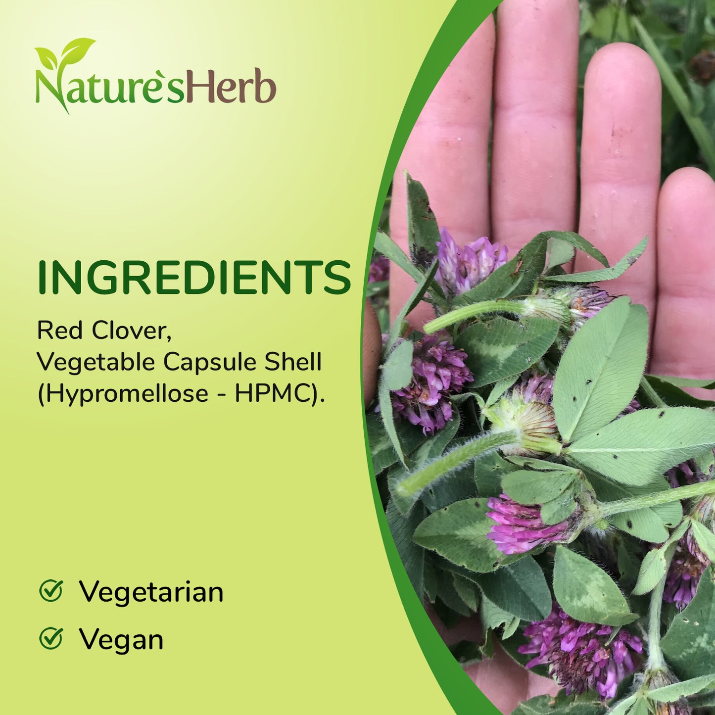 Red Clover Capsules 6000mg