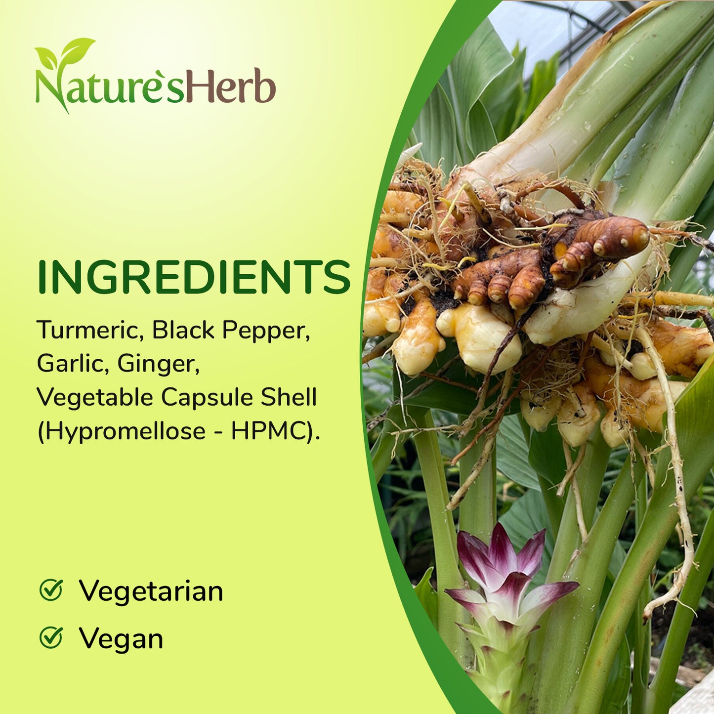 Turmeric + Black Pepper + Ginger + Garlic Complex Capsules 6000mg