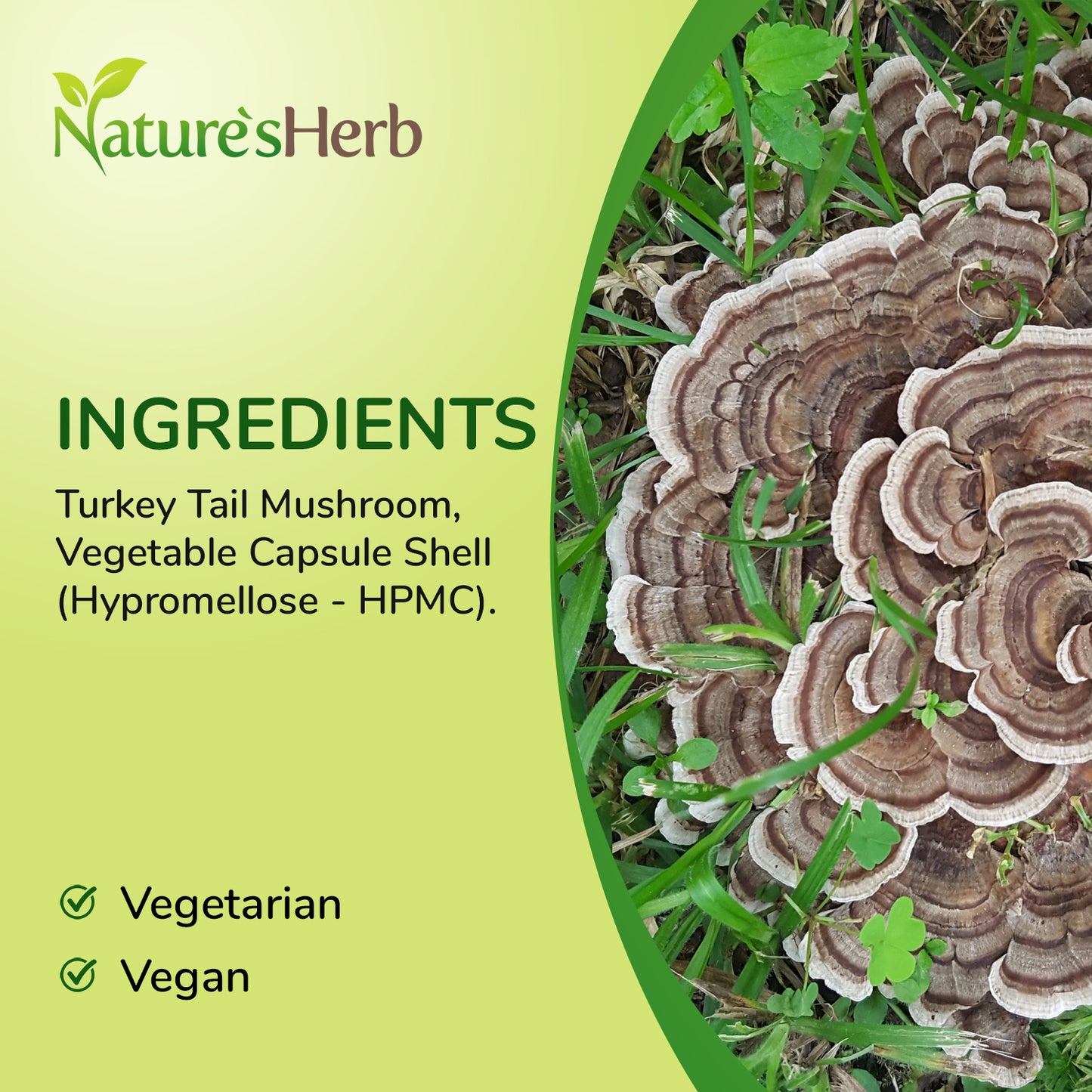 Turkey Tail Mushroom Capsules 7200mg