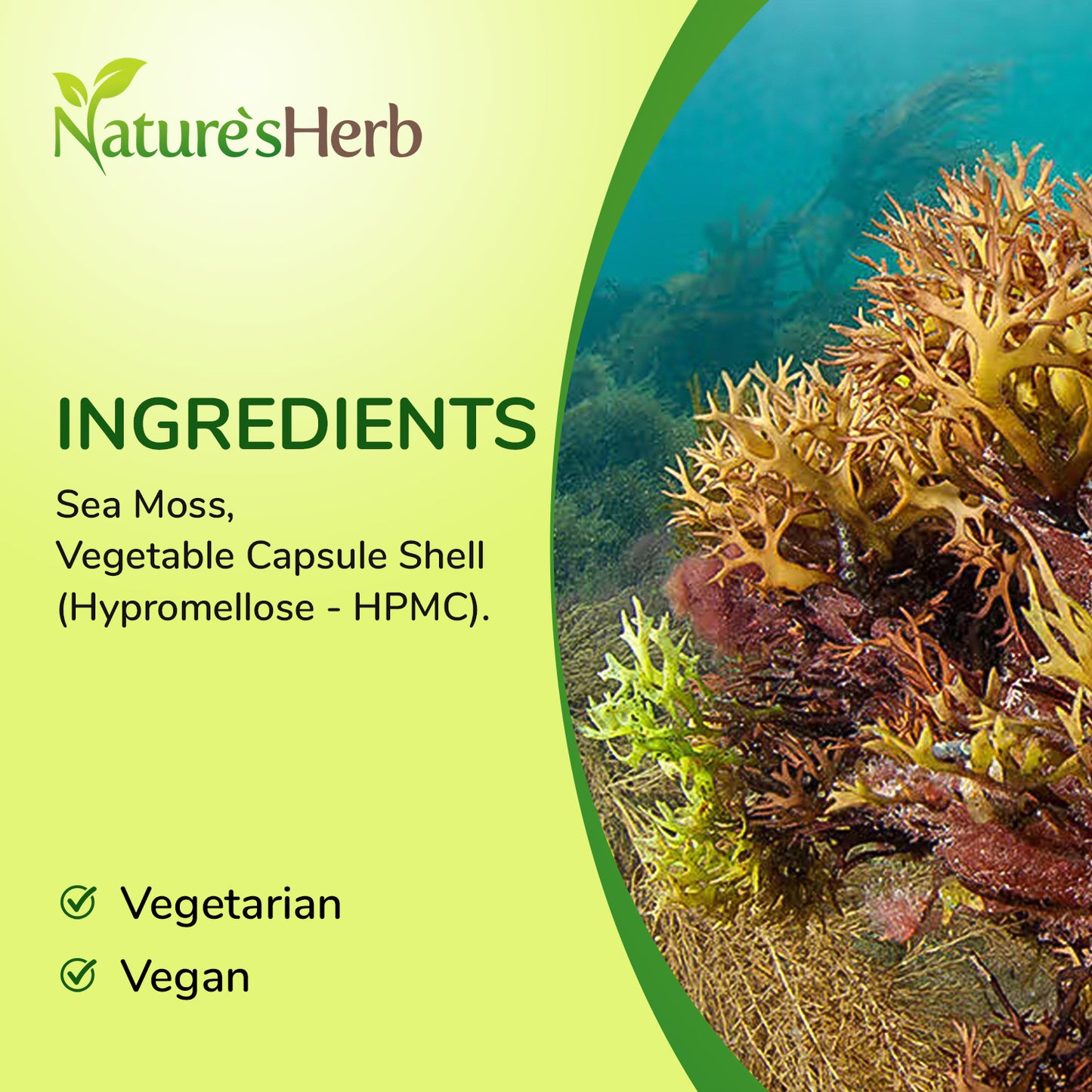 Sea Moss Capsules 6000mg
