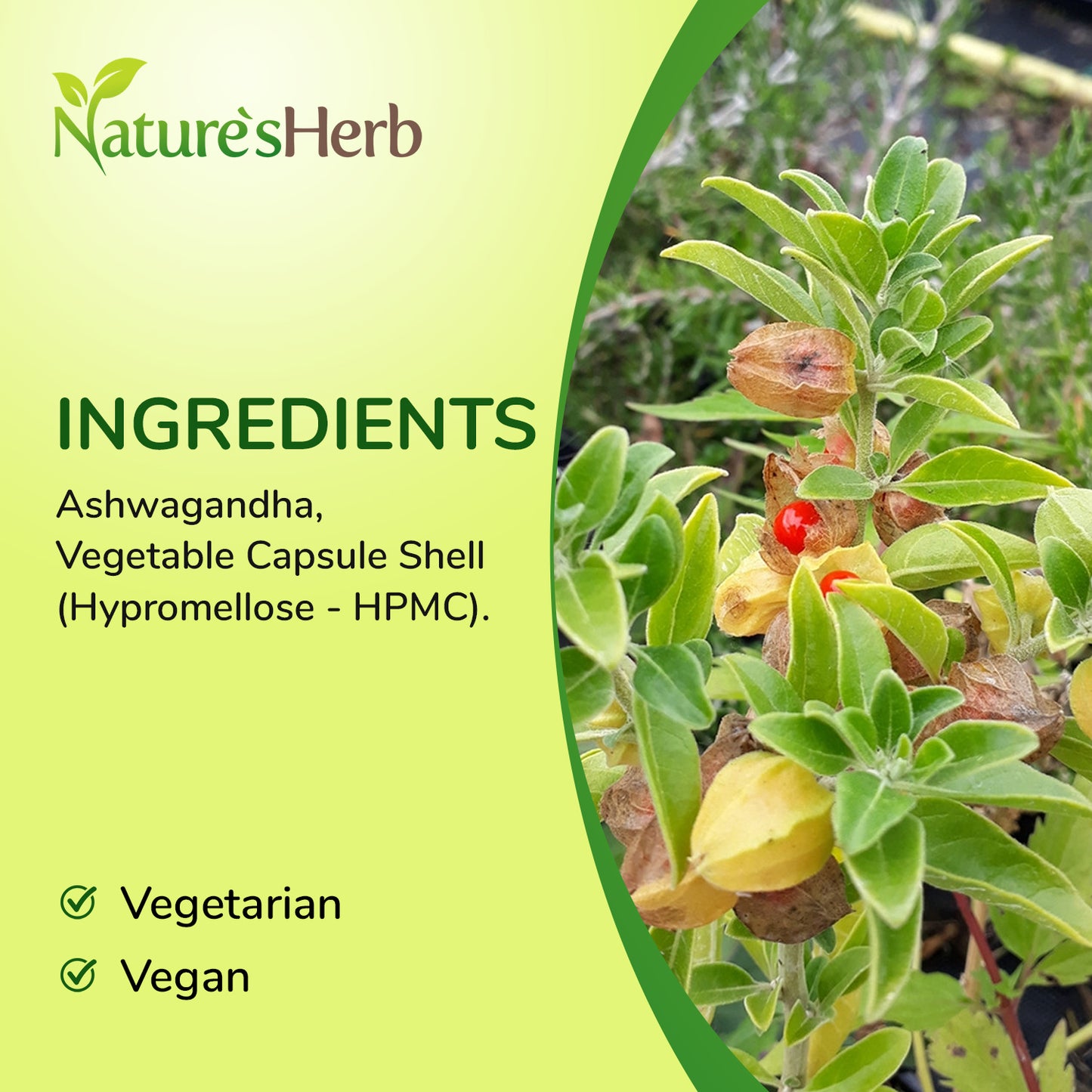 Ashwagandha Capsules 7200mg