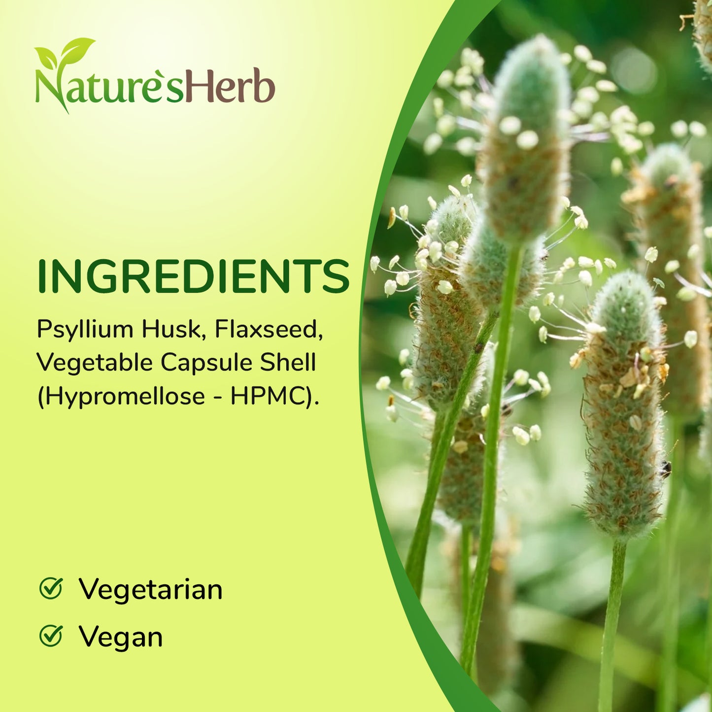 Psyllium Husk & Flaxseed Complex Capsules 6600mg