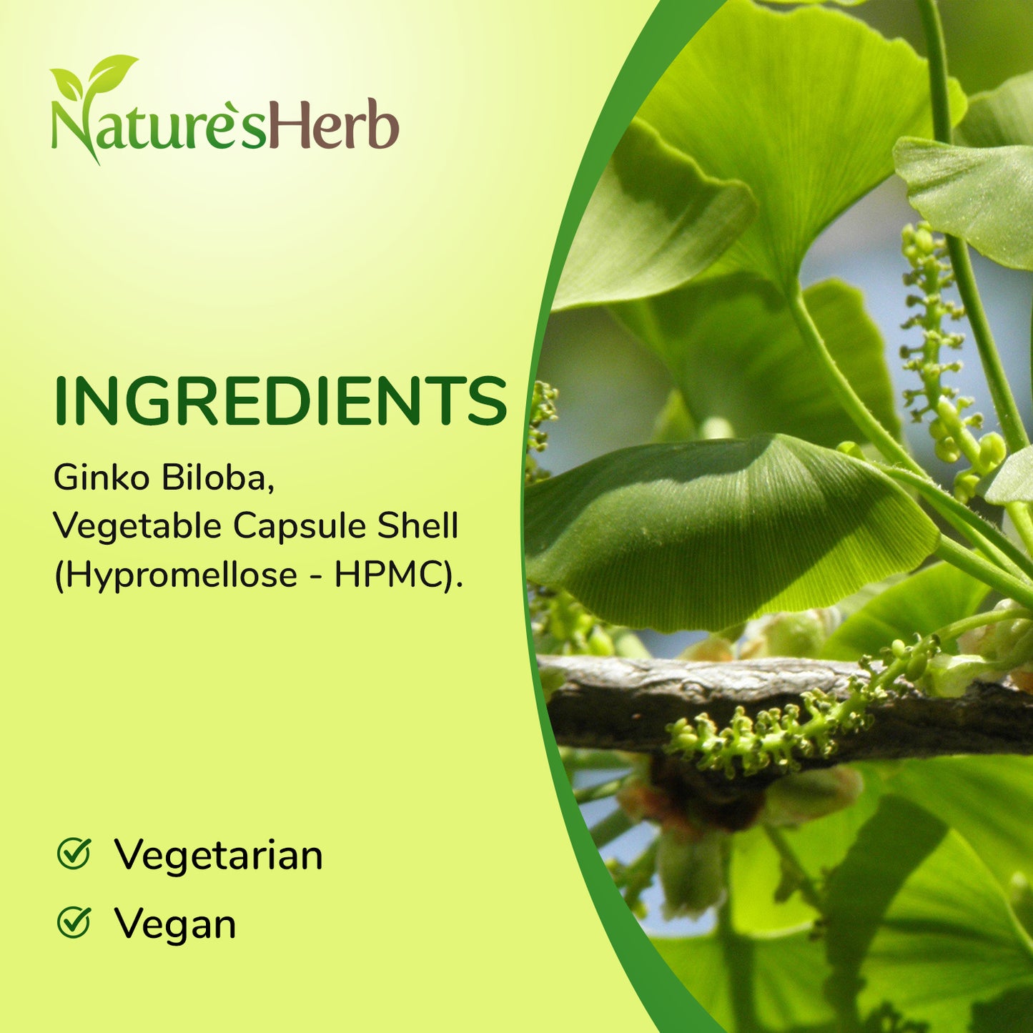 Ginkgo Biloba Capsules 2400mg