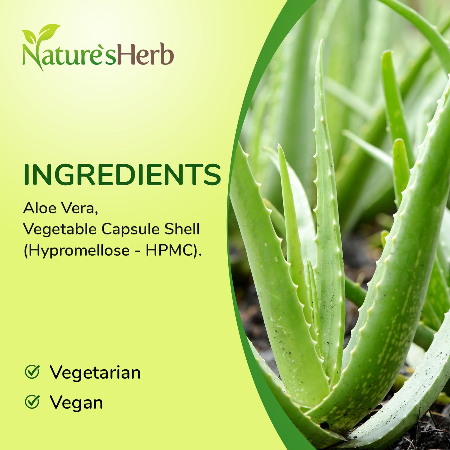 Aloe Vera Capules 6000mg