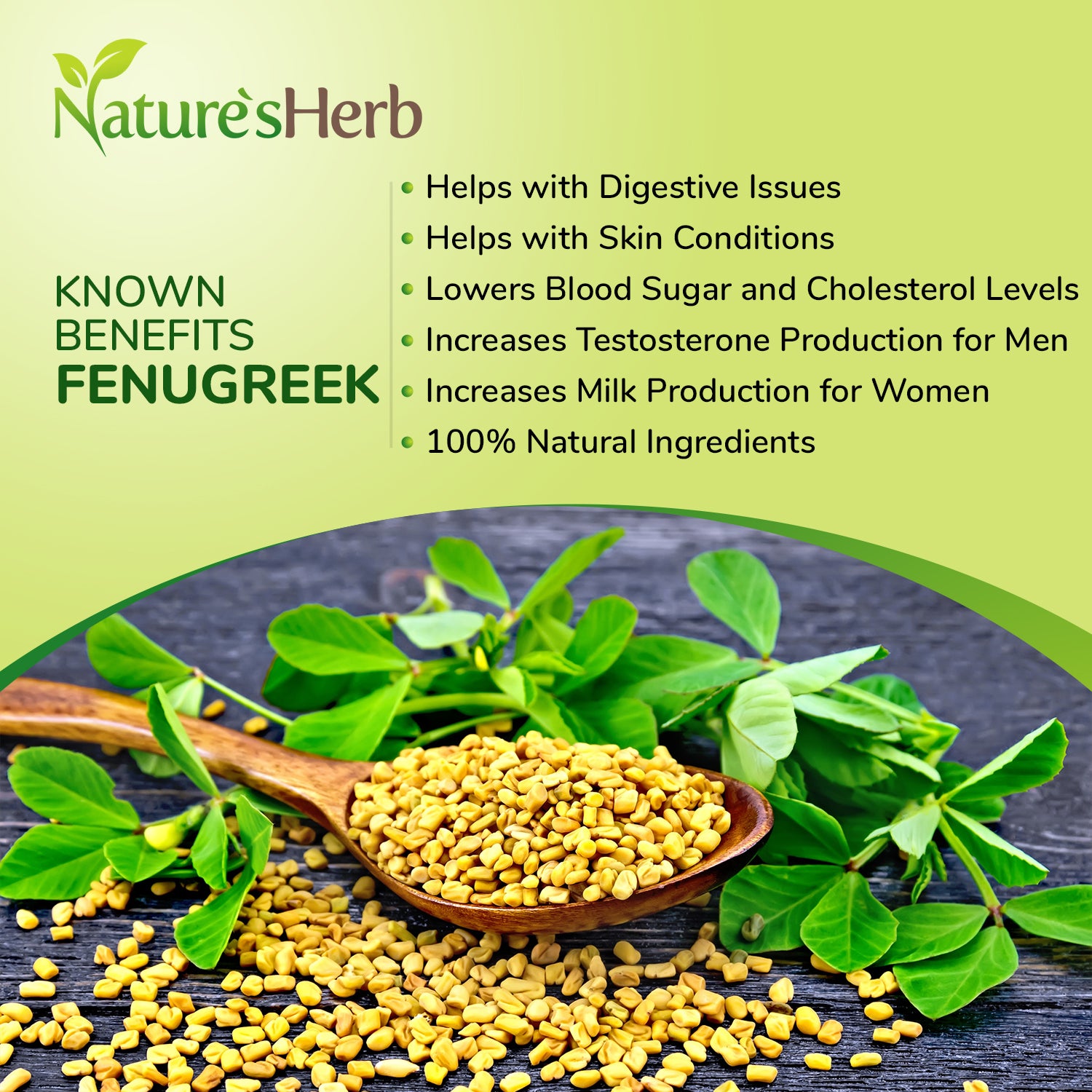Fenugreek Powder benefits