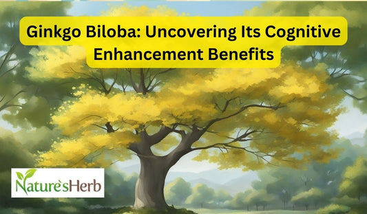 Ginkgo Biloba: Uncovering Its Cognitive Enhancement Benefits
