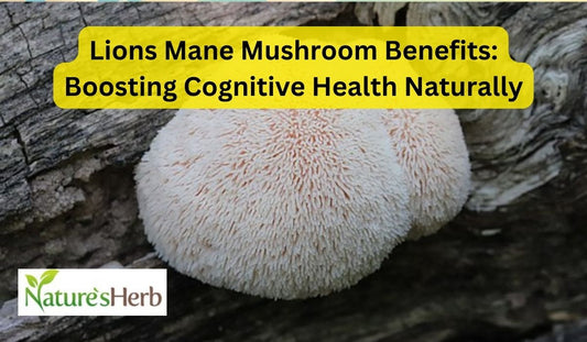 Lions Mane Mushroom Benefits: Boosting Cognitive Health Naturally