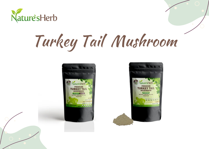 Turkey tail mushrooms