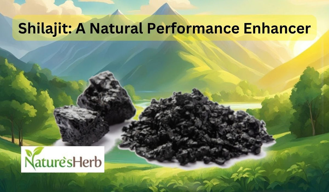 Shilajit: A Natural Performance Enhancer and Its Potent Benefits