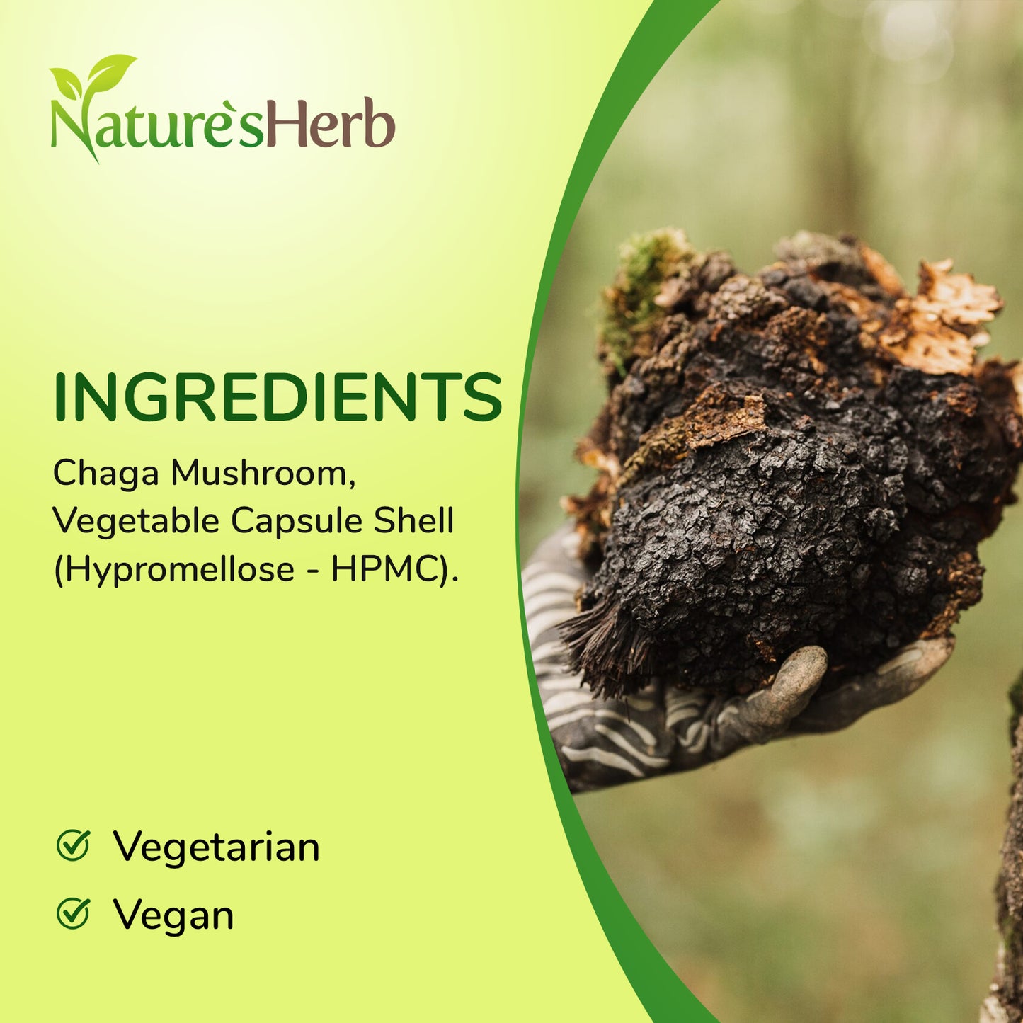 Chaga Mushroom Capsules 4800mg