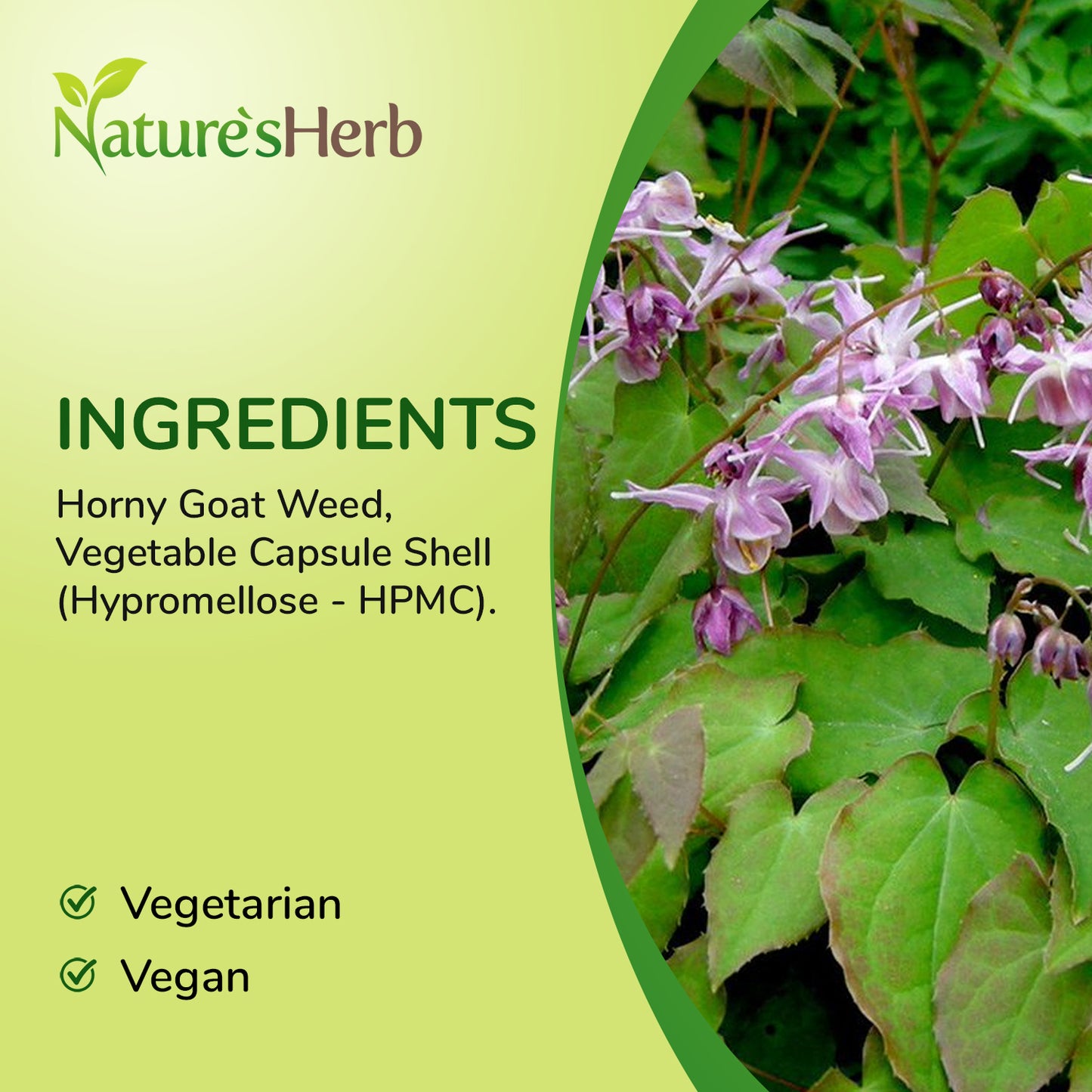 Horny Goat Weed Capsules 6600mg