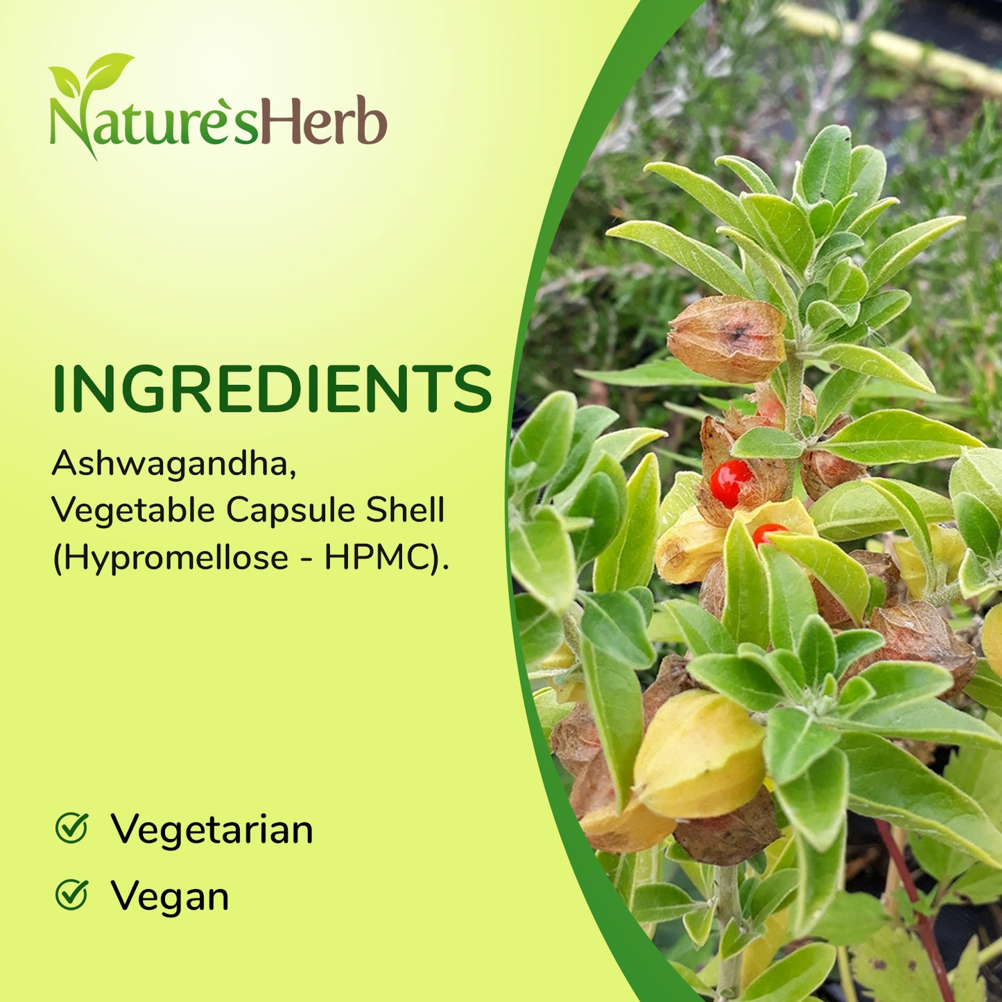Ashwagandha Capsules 7200mg Natures Herb