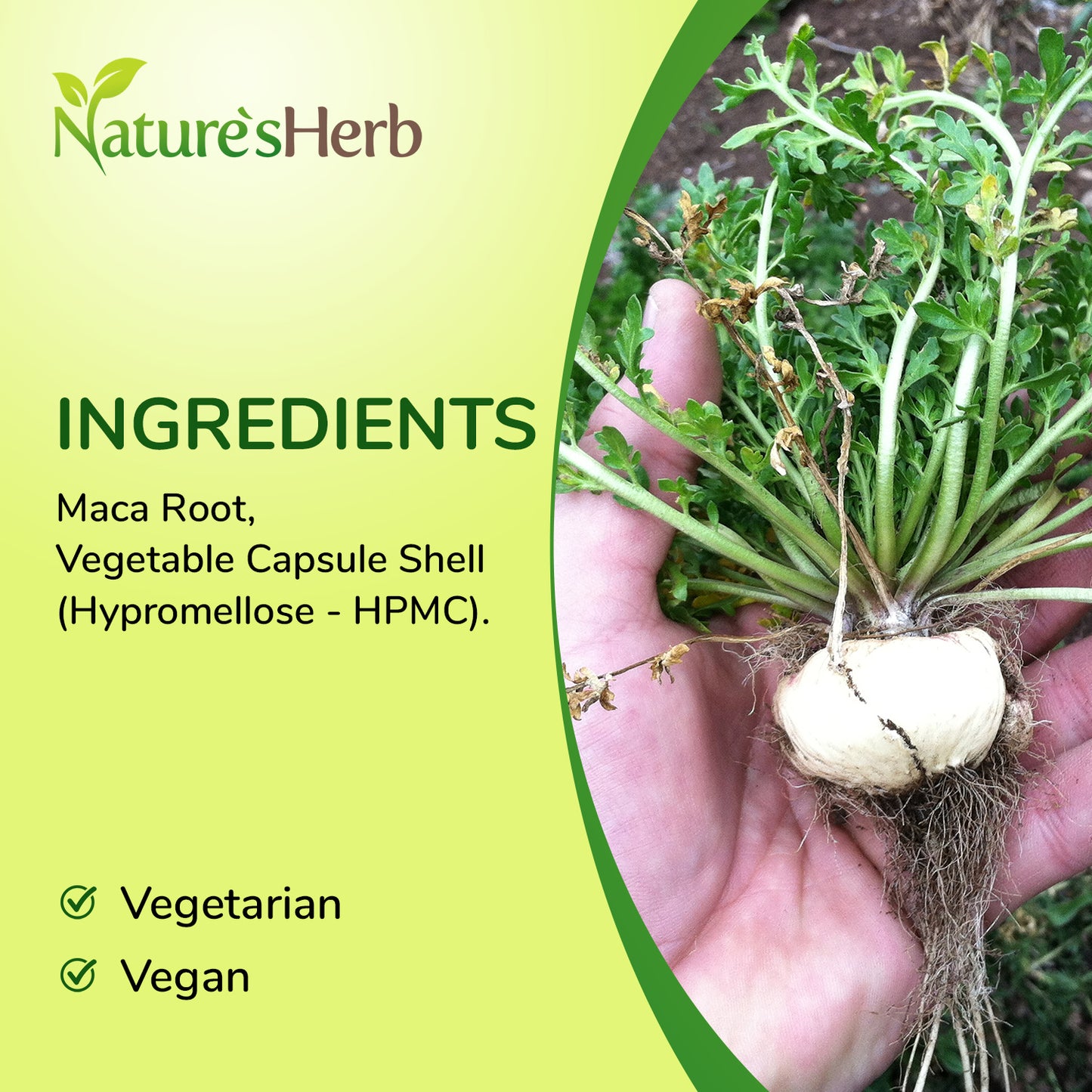 Maca Root Capsules 8400mg